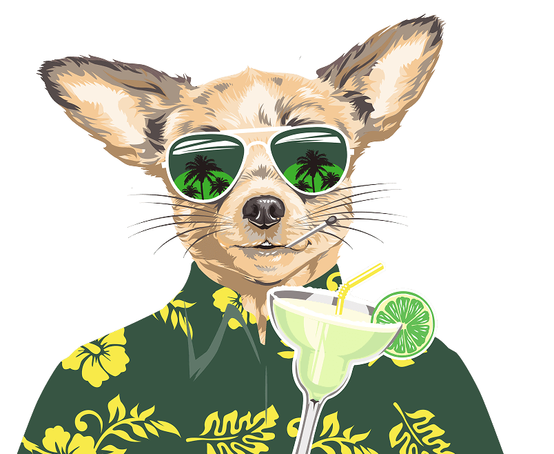 MXD premium malt beverage brands